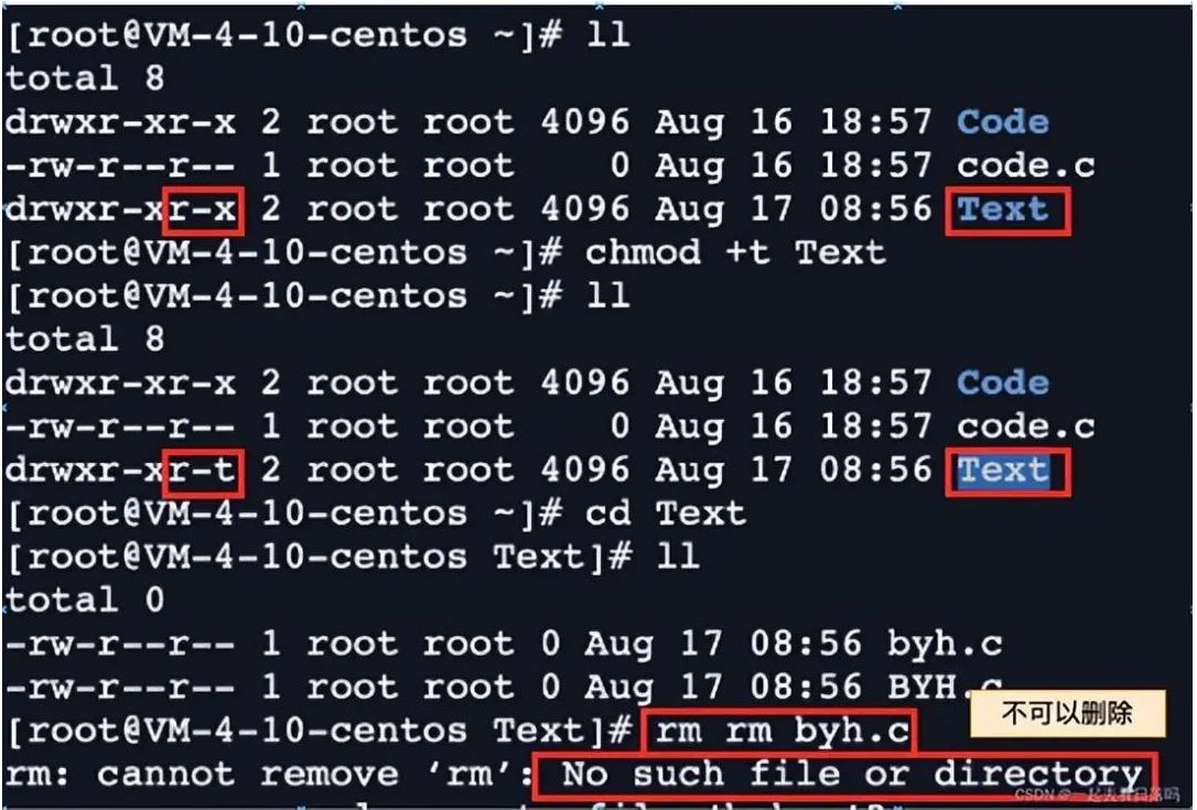 shell 运行原理和 Linux 权限详解