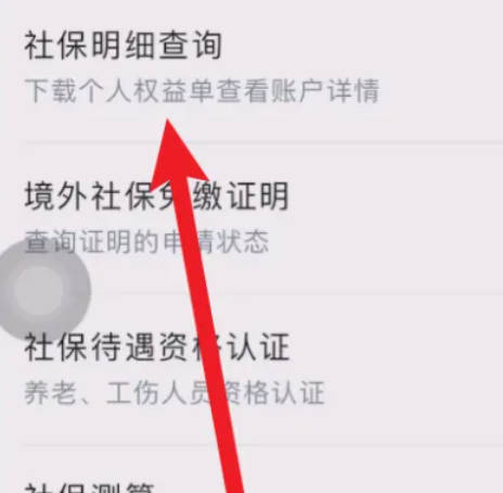 社保查询个人账户缴费明细