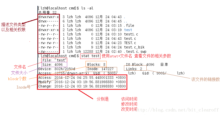 精通Linux文件时间：从入门到实战