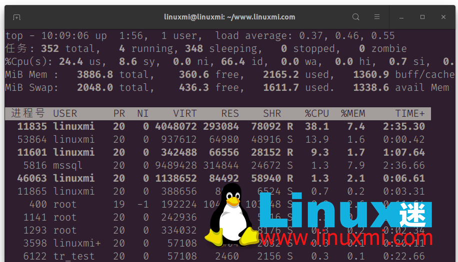 我最喜欢的 Linux top 命令选项