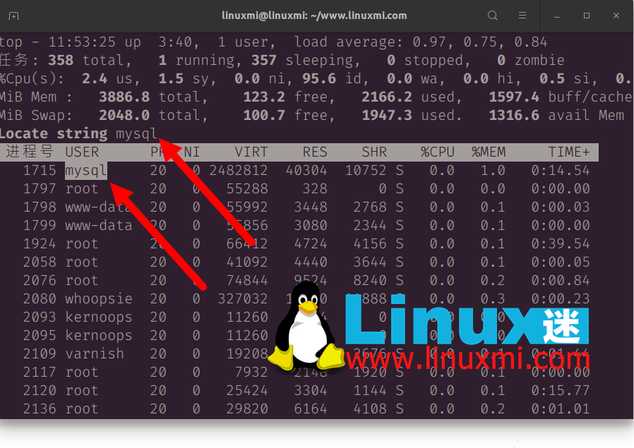 我最喜欢的 Linux top 命令选项