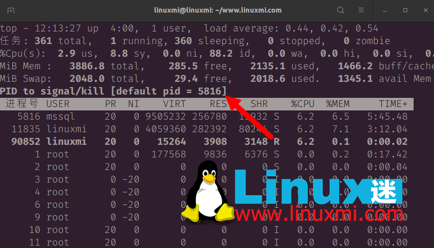 我最喜欢的 Linux top 命令选项