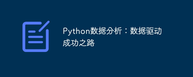 Python数据分析：数据驱动成功之路