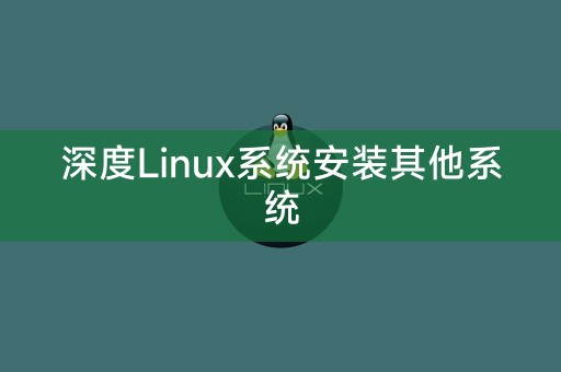 深度Linux系统安装其他系统