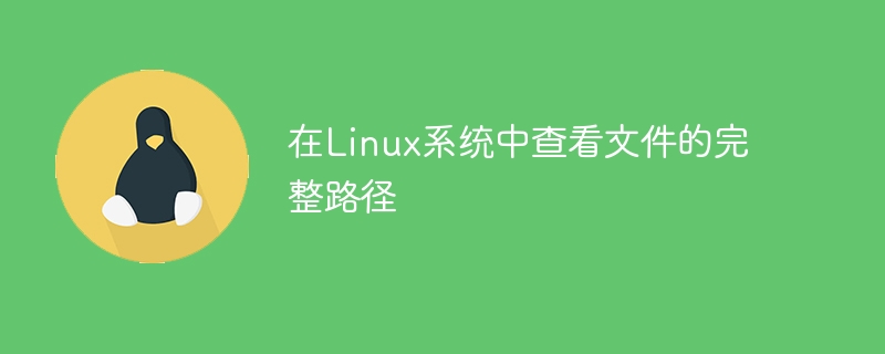 查看Linux系统中文件的路径