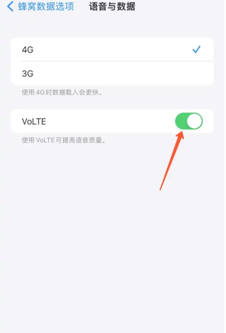苹果手机volte开关在哪里设置