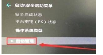 win11安全启动状态怎么打开？Win11安全启动状态开启的五种教程