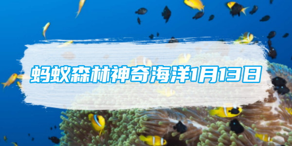 蚂蚁森林神奇海洋1月13日：以下哪种海洋生物有海蝴蝶的美称