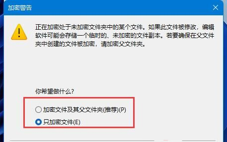 win11系统如何加密wps文档？win11加密wps文档的方法