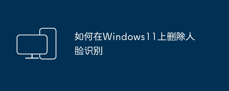 如何在Windows11上删除人脸识别