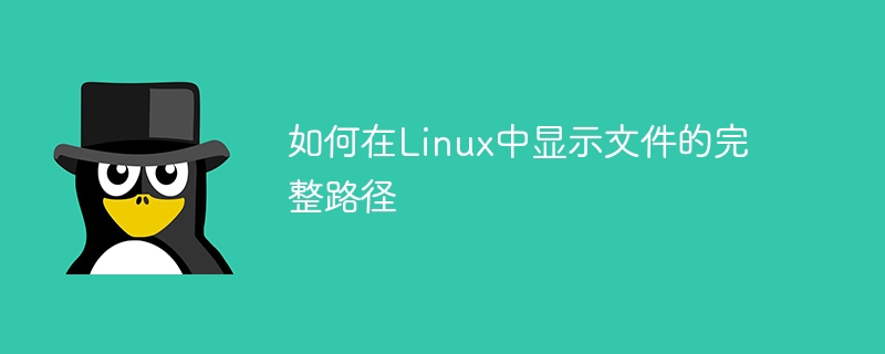 在Linux中如何查看文件的绝对路径