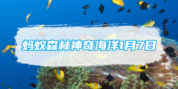 蚂蚁森林神奇海洋1月7日：管水母是一种水母吗