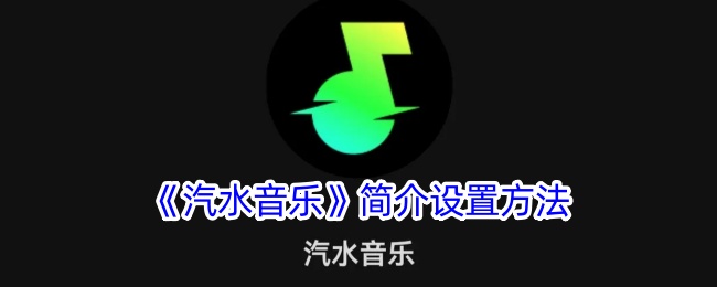 汽水音乐简介内容有哪些