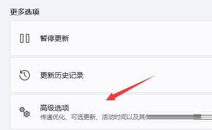 win11不能玩地平线4吗？win11怎么玩地平线4？详情