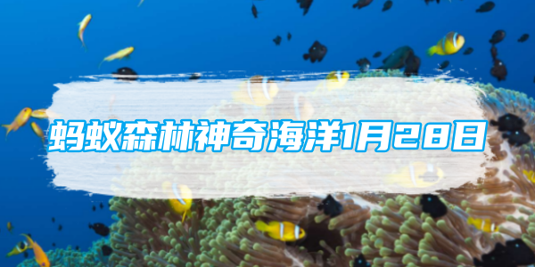 蚂蚁森林神奇海洋1月28日：世界最大的中华白海豚种群栖息地在哪里