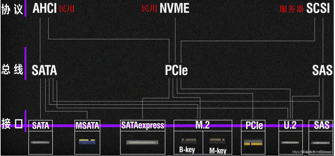 深入解析Linux命令lsscsi