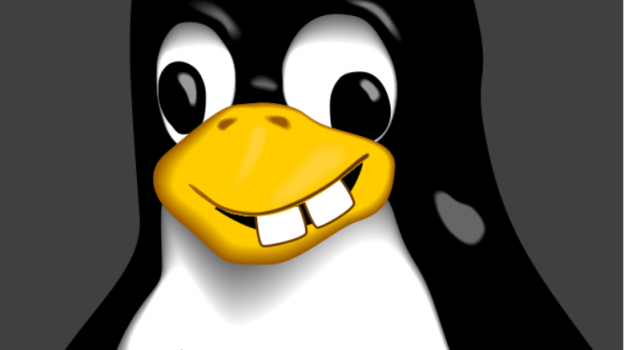 在Linux中如何通过sudo命令无需输入密码运行