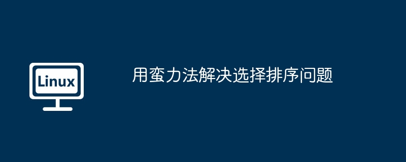 用蛮力法解决选择排序问题