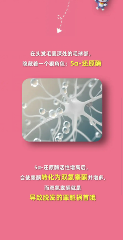 淘宝大赢家1月5日：为什么有人秃头但眉毛胡子却超浓