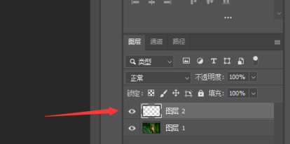 photoshop2020怎么新建图层-photoshop2020新建图层的具体操作