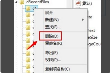 Adobe Reader XI怎么删除最近打开的文件-Adobe Reader XI删除最近打开的文件方法