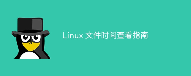 指导如何查看 Linux 文件的时间