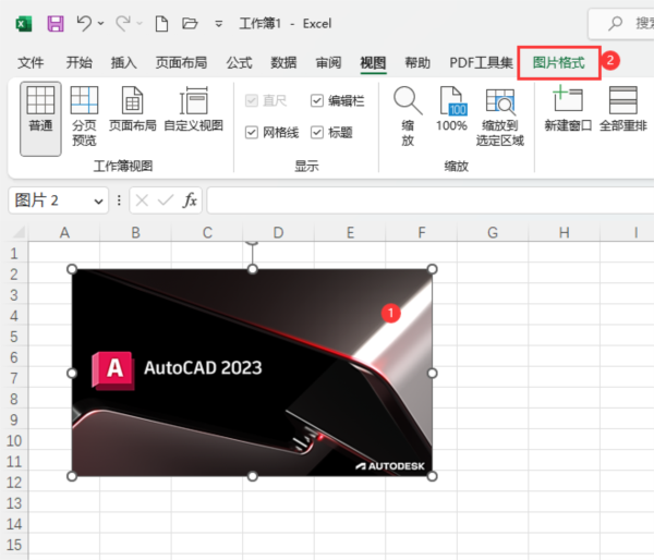 EXCEL2021怎么取消表格网格线 操作方法