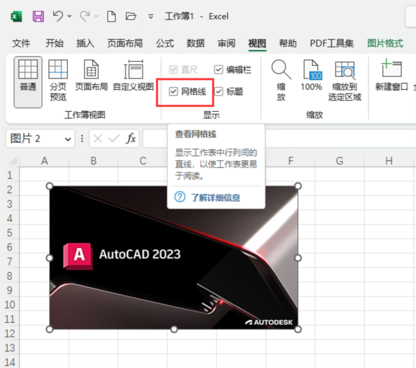 EXCEL2021怎么取消表格网格线 操作方法