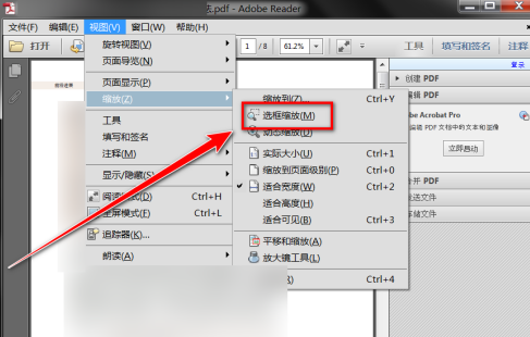 Adobe Reader XI怎么放大选中部分的内容-Adobe Reader XI放大选中部分的内容的方法