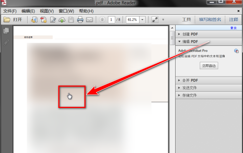 Adobe Reader XI怎么放大选中部分的内容-Adobe Reader XI放大选中部分的内容的方法