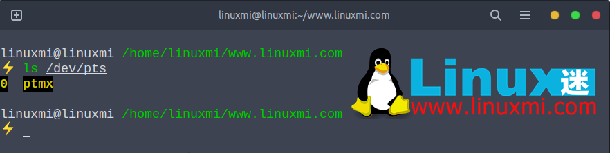 5 个不常见的 Linux 终端技巧和实验