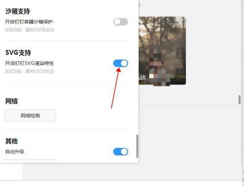 钉钉电脑版怎么打开SVG支持-钉钉电脑版打开SVG支持的方法