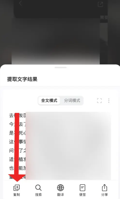 小红书文案怎么复制