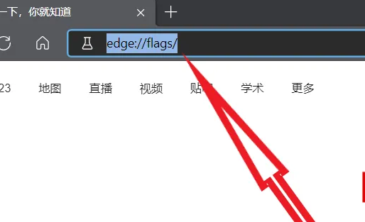 win10自带浏览器edge打开网页慢