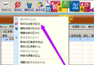 分区工具diskgenius如何格式化硬盘-分区工具diskgenius格式化硬盘的方法