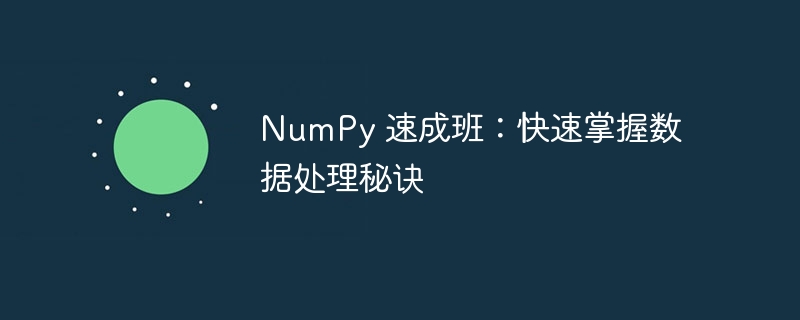 NumPy 速成班：快速掌握数据处理秘诀