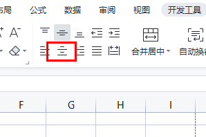 Microsoft Excel 2020表格文字怎么居中-Microsoft Excel 2020表格文字居中的方法