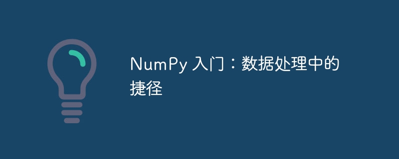 NumPy 入门：数据处理中的捷径