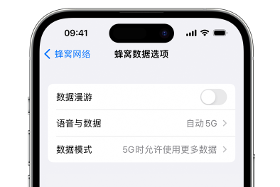 苹果手机5g网络怎么开