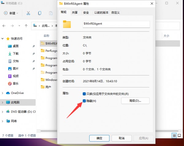 win11怎么查看隐藏文件夹？win11隐藏文件显示设置教程