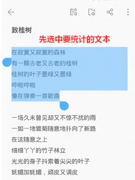 wps便签怎么统计字数