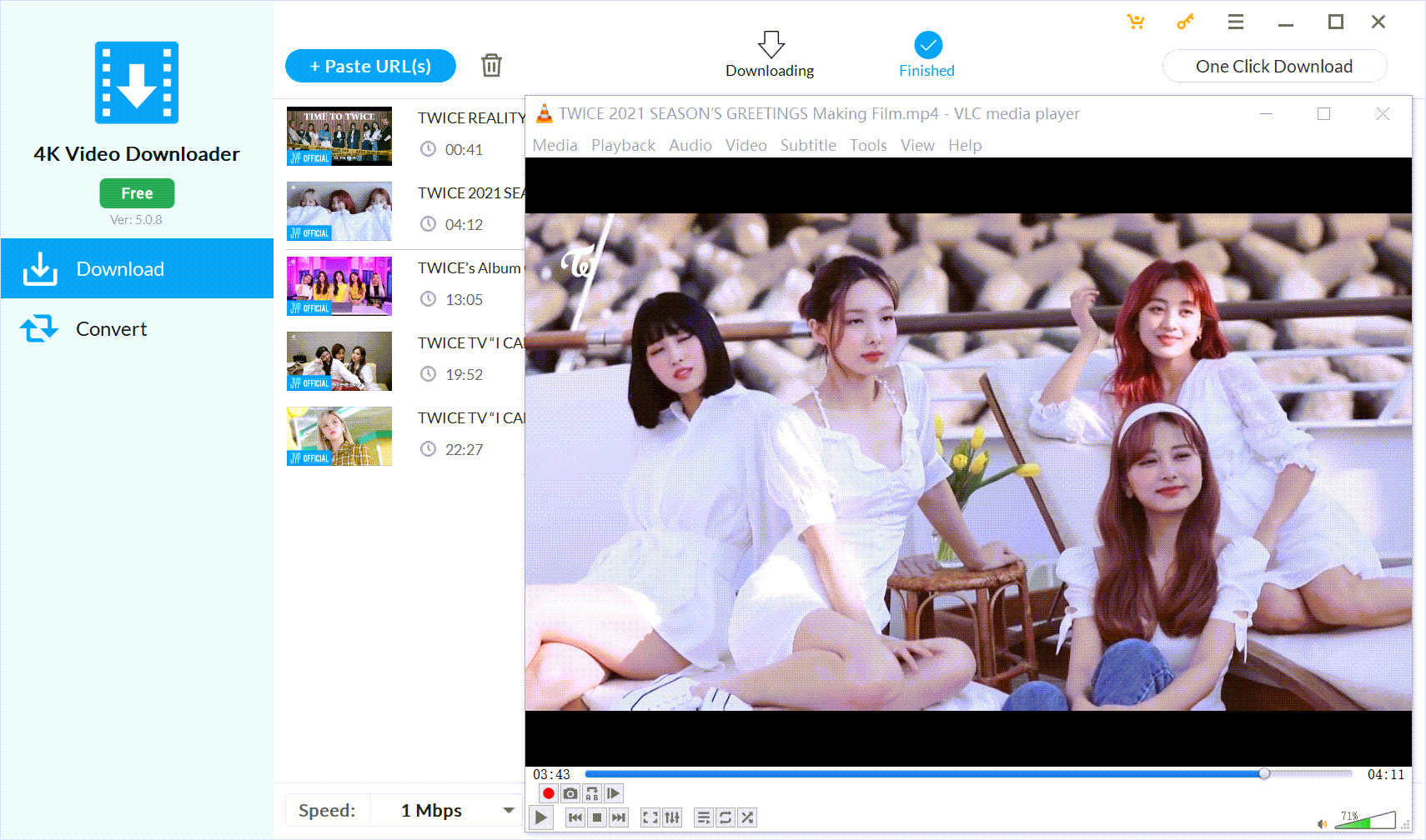 4K Video Downloader (YouTube视频下载器）