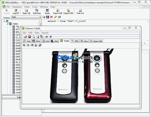 DB2LobEditor(db2数据库编辑工具)