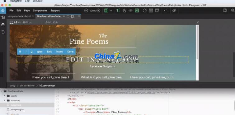 Pinegrow Web Editor for Mac