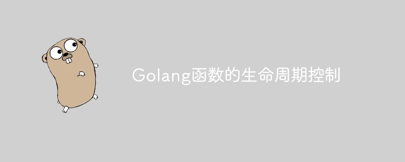 Golang函数的生命周期控制