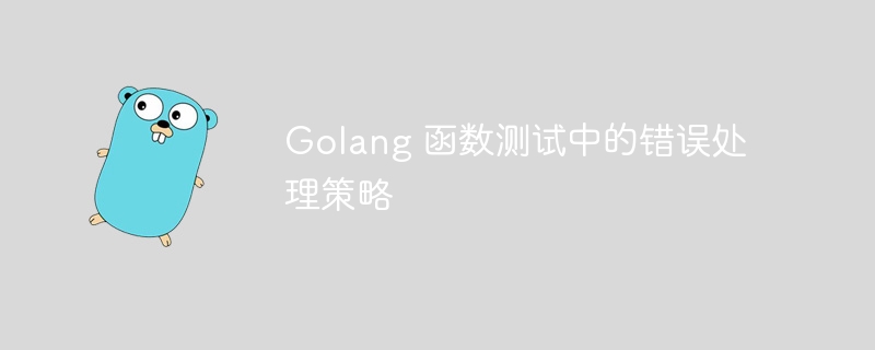 Golang 函数测试中的错误处理策略