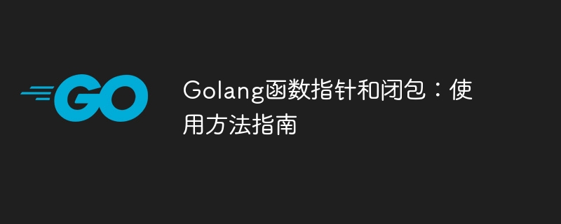 Golang函数指针和闭包：使用方法指南