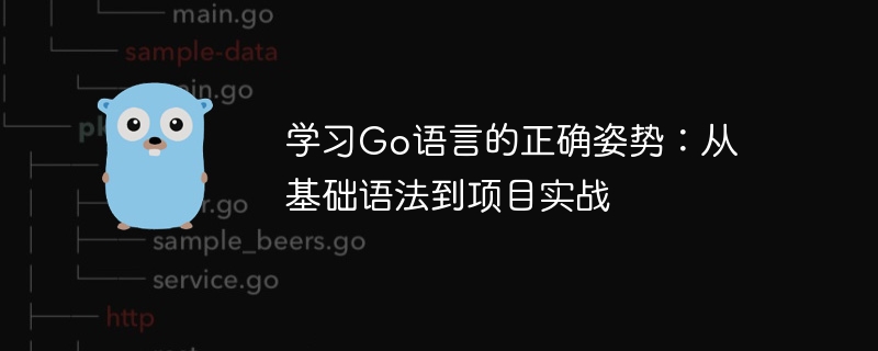 学习Go语言的正确姿势：从基础语法到项目实战