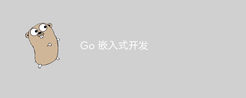 Go 嵌入式开发