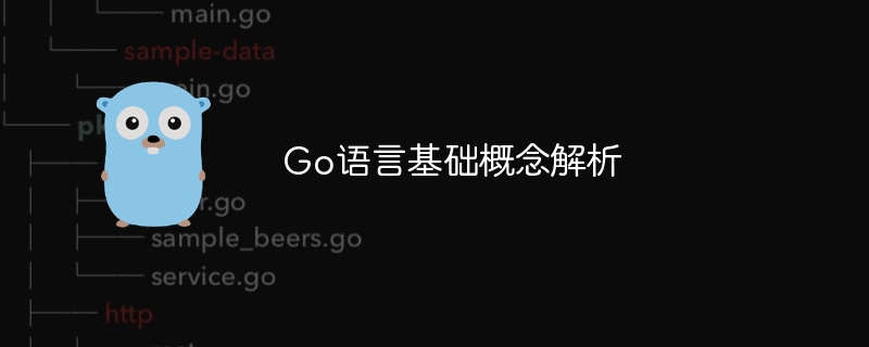 Go语言基础概念解析